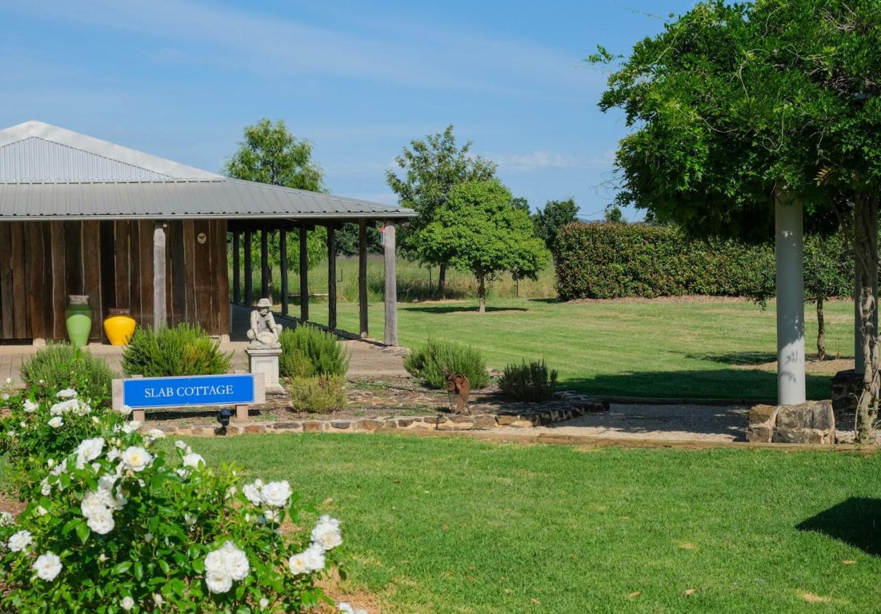 גלגונג Owl Head Lodge מראה חיצוני תמונה