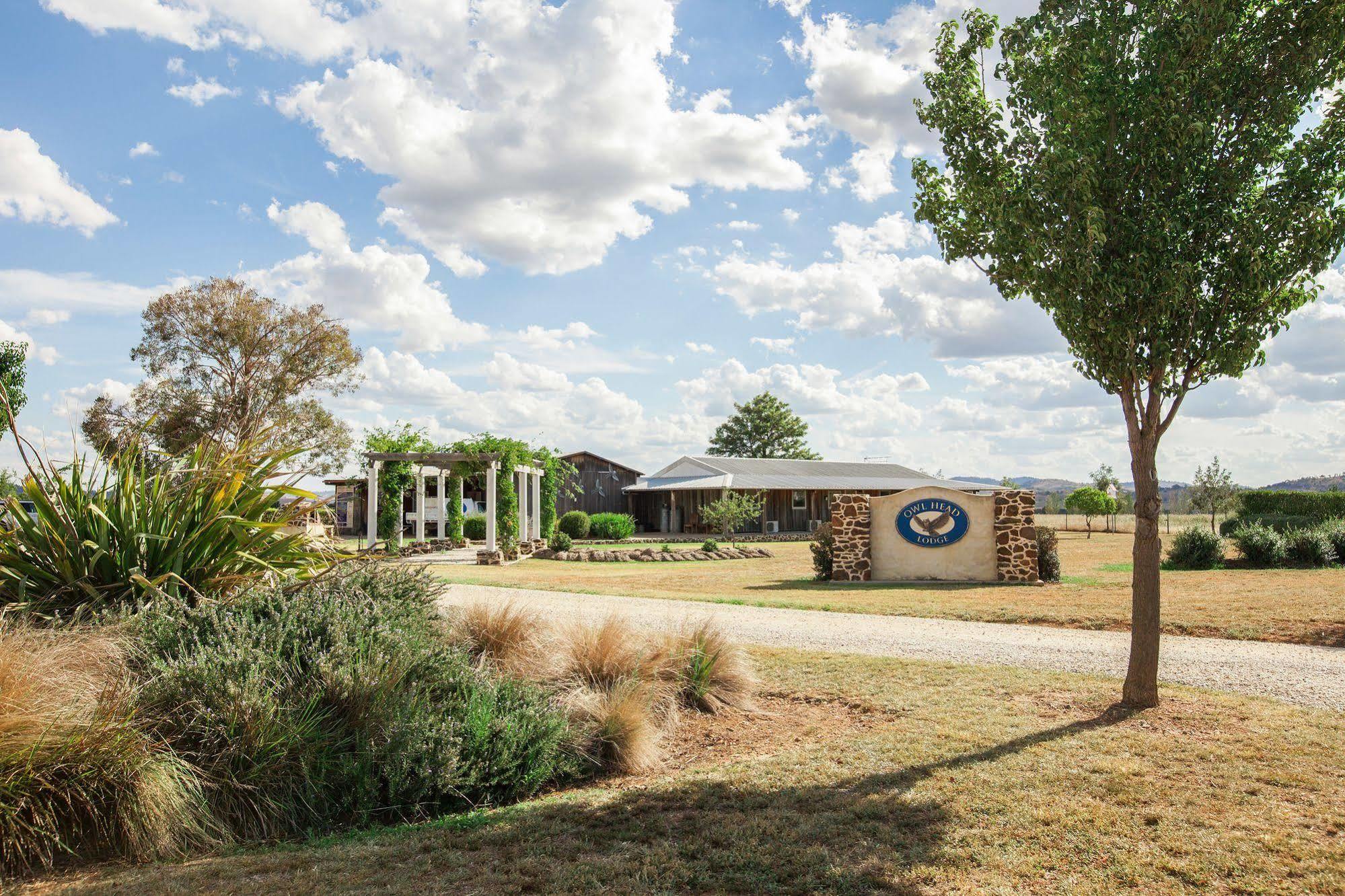 גלגונג Owl Head Lodge מראה חיצוני תמונה